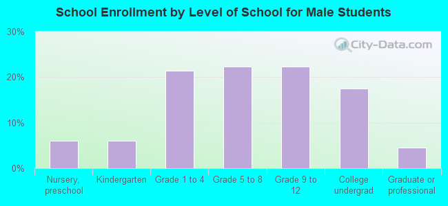 School Enrollment by Level of School for Male Students