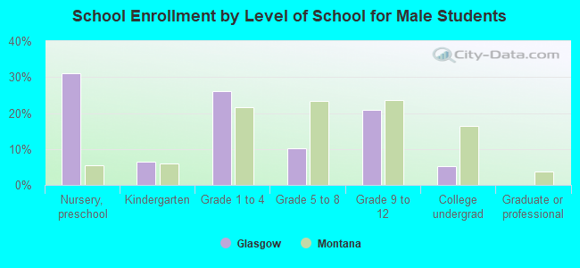 School Enrollment by Level of School for Male Students