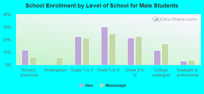 School Enrollment by Level of School for Male Students