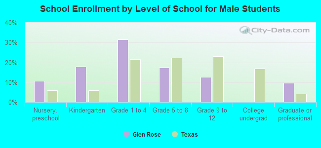 School Enrollment by Level of School for Male Students