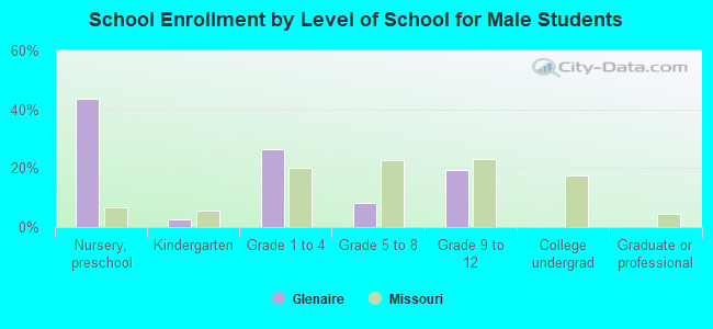 School Enrollment by Level of School for Male Students