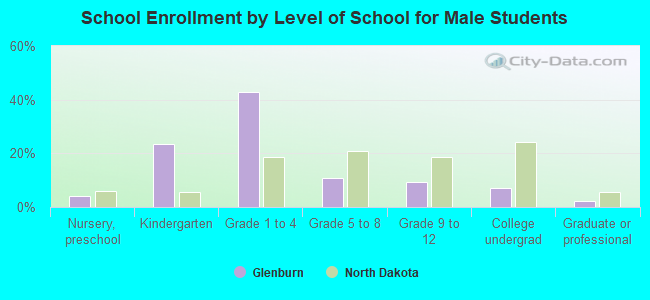 School Enrollment by Level of School for Male Students