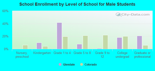 School Enrollment by Level of School for Male Students