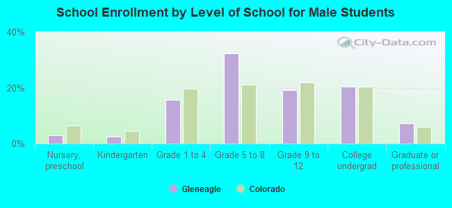 School Enrollment by Level of School for Male Students