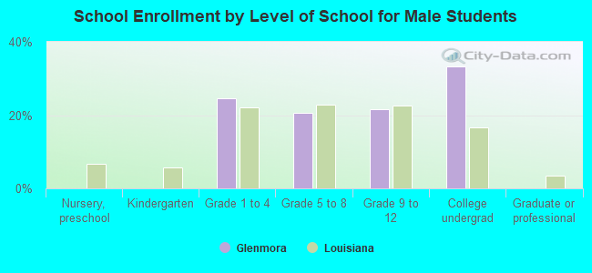 School Enrollment by Level of School for Male Students