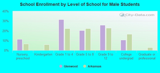 School Enrollment by Level of School for Male Students