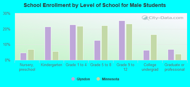 School Enrollment by Level of School for Male Students