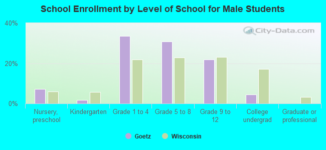 School Enrollment by Level of School for Male Students