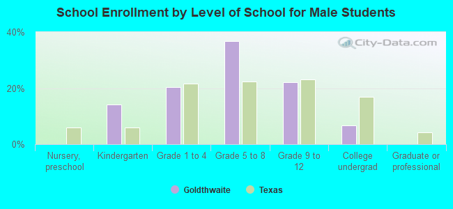 School Enrollment by Level of School for Male Students