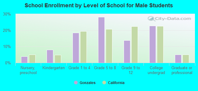 School Enrollment by Level of School for Male Students