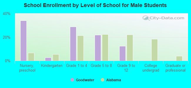 School Enrollment by Level of School for Male Students