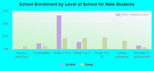 School Enrollment by Level of School for Male Students