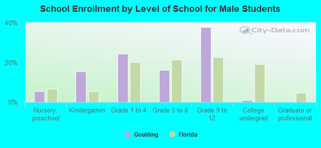 School Enrollment by Level of School for Male Students