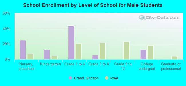 School Enrollment by Level of School for Male Students