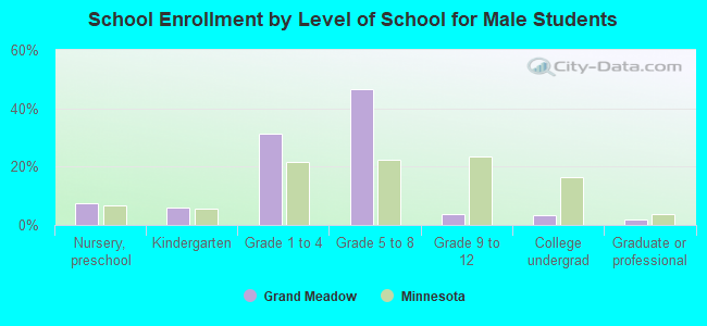 School Enrollment by Level of School for Male Students