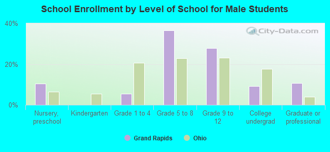 School Enrollment by Level of School for Male Students