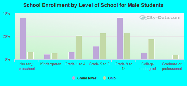 School Enrollment by Level of School for Male Students