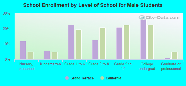 School Enrollment by Level of School for Male Students