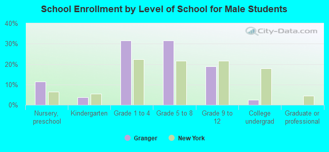 School Enrollment by Level of School for Male Students