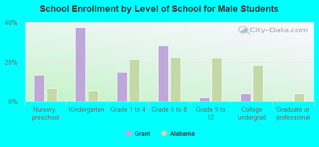 School Enrollment by Level of School for Male Students