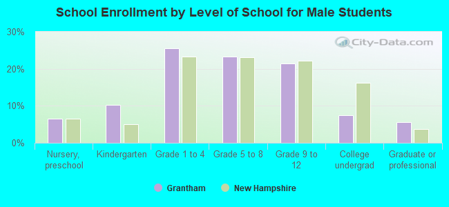 School Enrollment by Level of School for Male Students