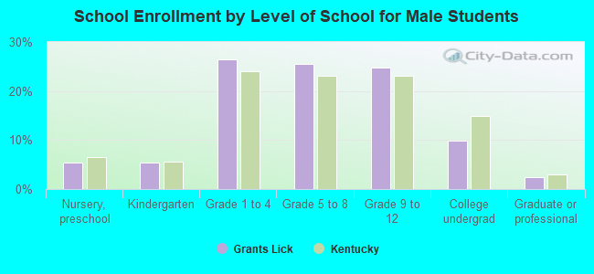 School Enrollment by Level of School for Male Students