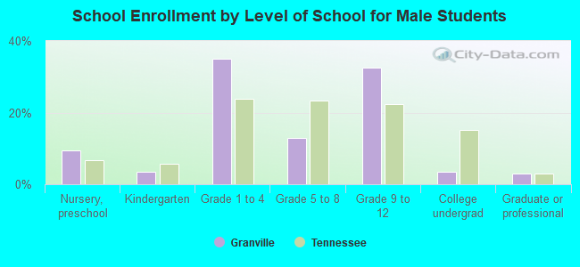 School Enrollment by Level of School for Male Students