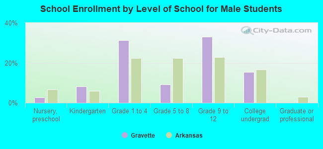 School Enrollment by Level of School for Male Students