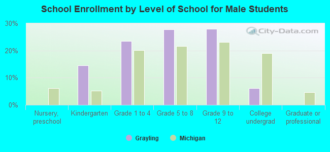 School Enrollment by Level of School for Male Students