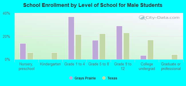 School Enrollment by Level of School for Male Students