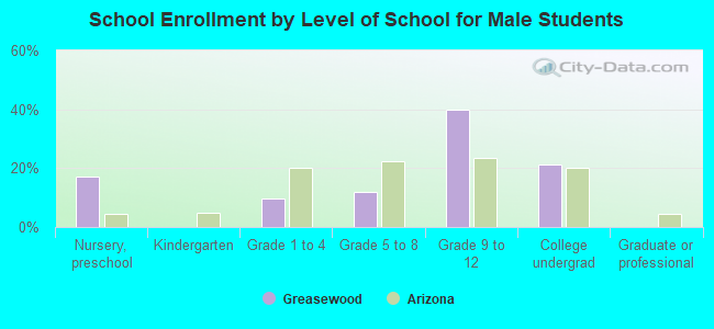 School Enrollment by Level of School for Male Students