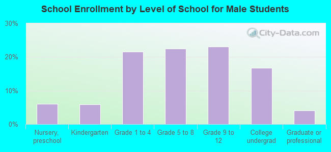 School Enrollment by Level of School for Male Students