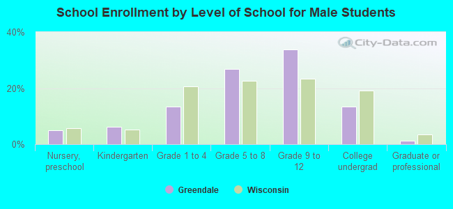 School Enrollment by Level of School for Male Students