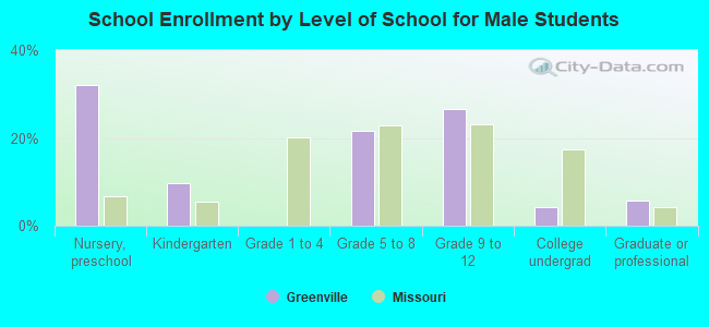 School Enrollment by Level of School for Male Students