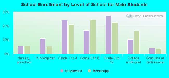 School Enrollment by Level of School for Male Students