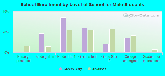 School Enrollment by Level of School for Male Students