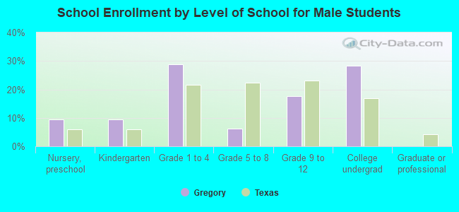 School Enrollment by Level of School for Male Students