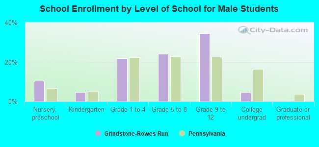 School Enrollment by Level of School for Male Students