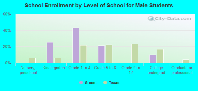 School Enrollment by Level of School for Male Students