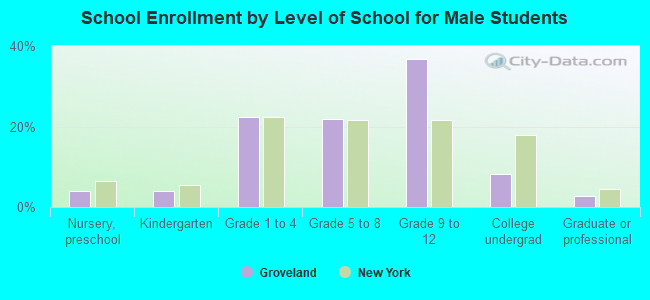 School Enrollment by Level of School for Male Students