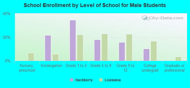 School Enrollment by Level of School for Male Students