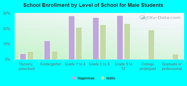 School Enrollment by Level of School for Male Students