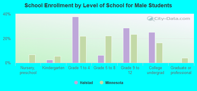 School Enrollment by Level of School for Male Students