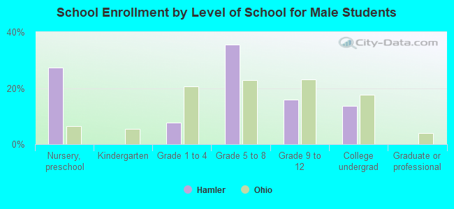 School Enrollment by Level of School for Male Students