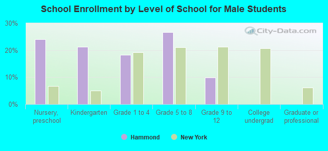 School Enrollment by Level of School for Male Students