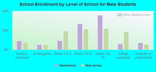 School Enrollment by Level of School for Male Students