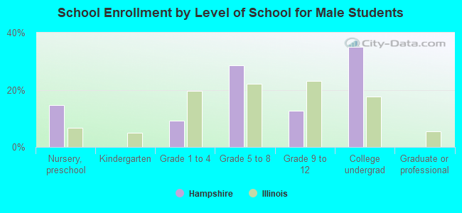 School Enrollment by Level of School for Male Students