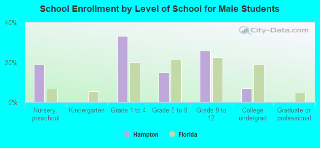 School Enrollment by Level of School for Male Students