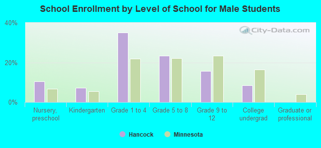 School Enrollment by Level of School for Male Students