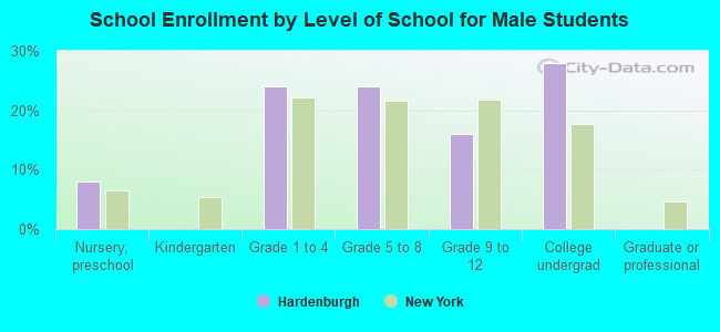 School Enrollment by Level of School for Male Students